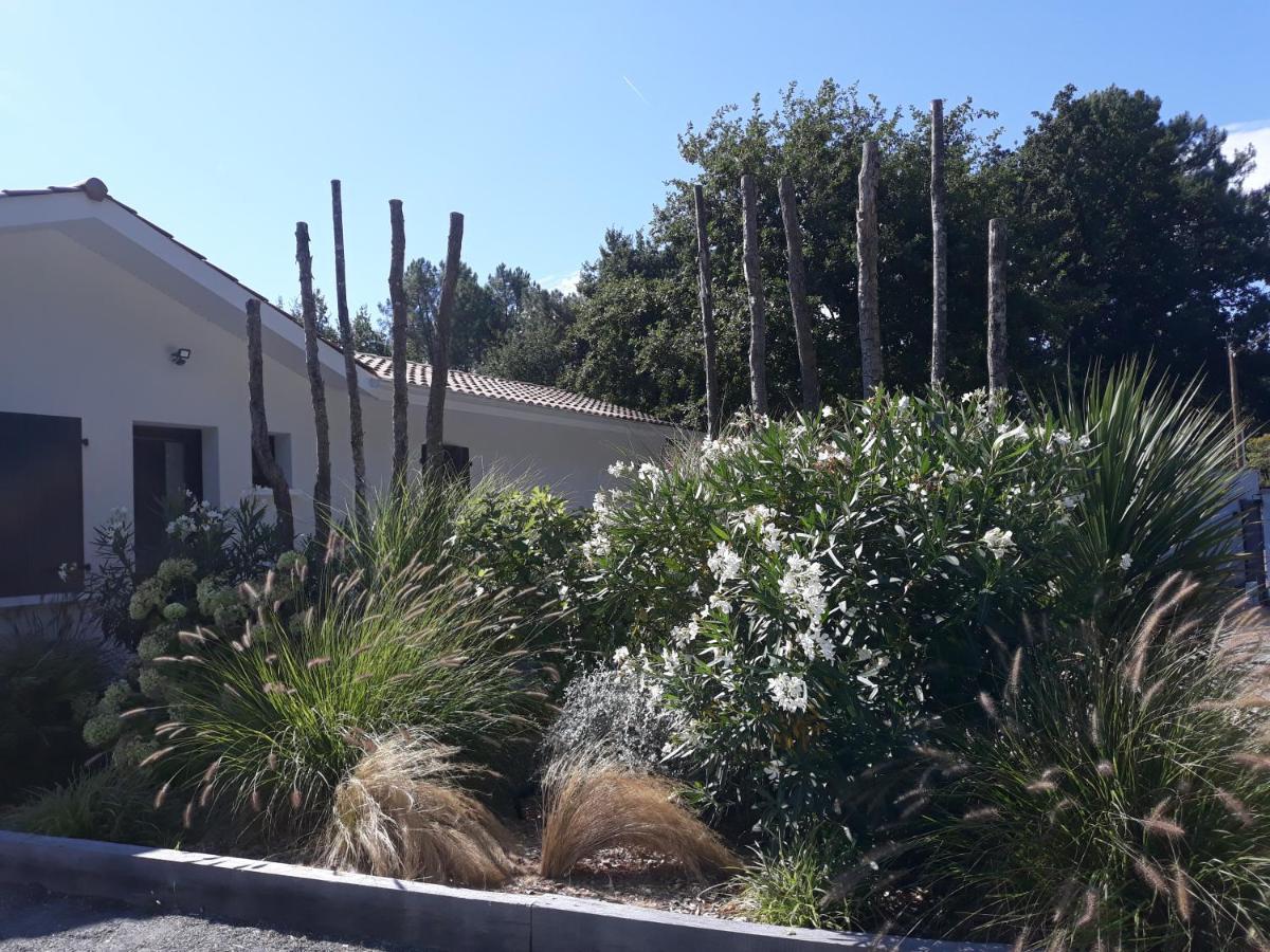 Vakantiehuis De Gascogne (adults Only) *