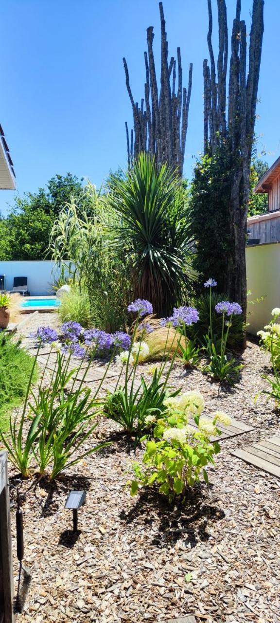 De Gascogne (adults Only) * Lanton